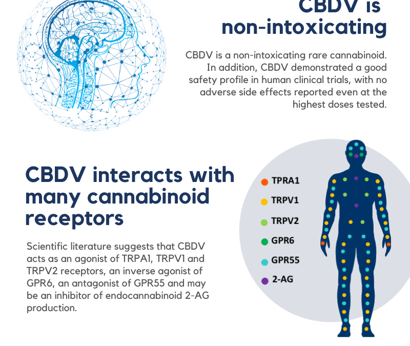 5 Things to Know About CBDV