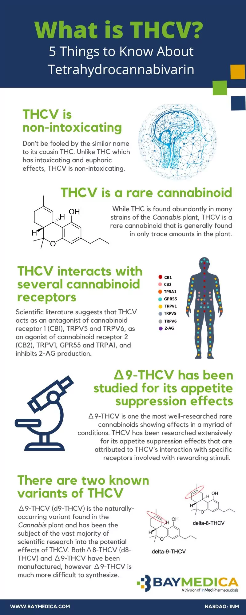 What is THCV? 5 Things to Know About THCV